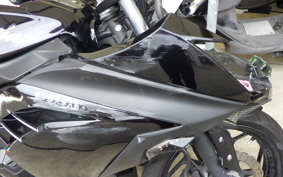 KAWASAKI NINJA 250