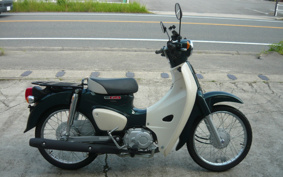 HONDA SUPER CUB50 AA09