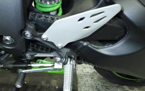 KAWASAKI NINJA ZX-6R A 2025 ZX636J