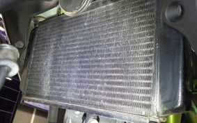 KAWASAKI Z250 SL BR250E