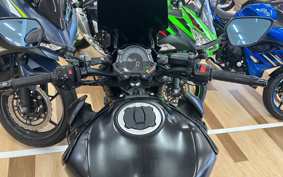 KAWASAKI Z900 2019 ZR900B