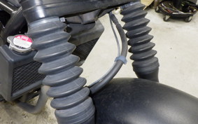 HONDA REBEL 250 S 2006 MC49