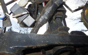 OTHER UNREGISTERED MODEL by BDS TRIKE250