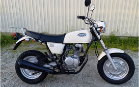 HONDA APE100 HC07