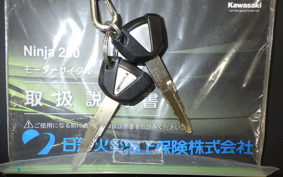 KAWASAKI NINJA 250 2 1996 EX250P