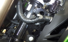 KAWASAKI Z125 PRO 2021 BR125H
