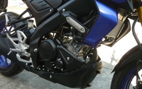 YAMAHA MT-15 RG71