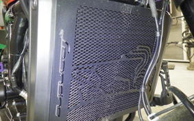 HARLEY X500 2024