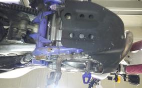 YAMAHA TT250R RAID 2009 4GY