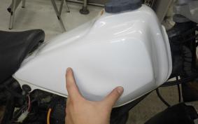 YAMAHA TW225 DG09J