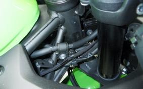 KAWASAKI ZX-4RR 2024 ZX400P