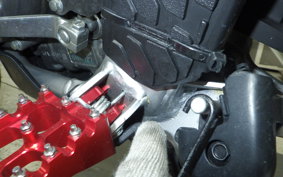 HONDA CRF250L 2024 MD47