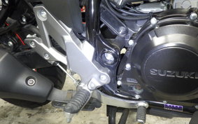 SUZUKI V-STROM 250