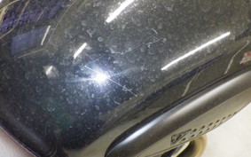 TRIUMPH SCRAMBLER400X 2024