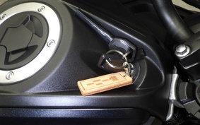 KAWASAKI Z125 PRO 1995 BR125H