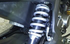 KAWASAKI Z125 PRO BR125H