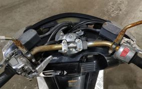 YAMAHA MAXAM 250 SG21J