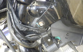 HARLEY XL883LI