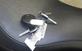 HARLEY FLFBS1860 2021