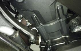 KAWASAKI NINJA 1000SX 2024 ZXT02K