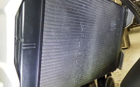 TRIUMPH TRIDENT 660 2021