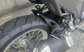 KAWASAKI VERSYS-X 250 ABS LE250D