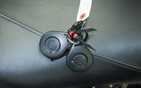 HARLEY FLHXS 1690 2015