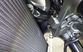 KAWASAKI Z900RS 2021 ZR900C