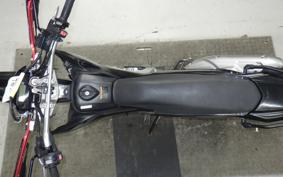 YAMAHA WR250R 2024 DG15J