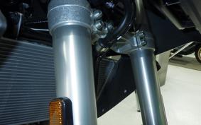 SUZUKI Vｽﾄﾛｰﾑ800 2025