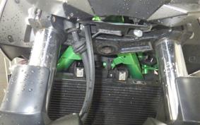 KAWASAKI Z250 Gen.2 2020 EX250Y