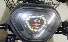 HONDA C110 SUPER CUB 1996 JA10