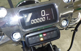 HARLEY FXST1750 2025