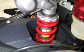 TRIUMPH DAYTONA 675 ABS 2015