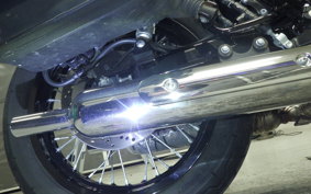 KAWASAKI W800 CAFE 2022