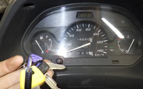 HONDA FORESIGHT EX 2019 MF04