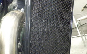 TRIUMPH SPEED400 2024