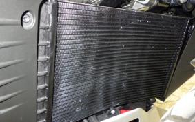 HARLEY ﾊﾟﾝ AMERICA1250S 2024