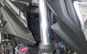 YAMAHA MT-25 2013 RG10J