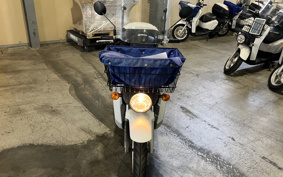 HONDA  BENLY  PRO  AA05