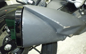 SUZUKI Vｽﾄﾛｰﾑ250SX 2022 EL11L