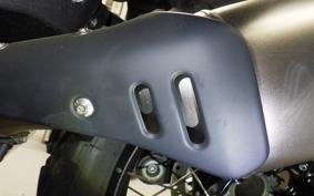 BMW R12G/S 2025