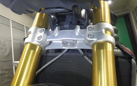 TRIUMPH SPEED TRIPLE RS 2021