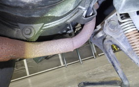 HONDA DIO Gen.4 2026 AF35