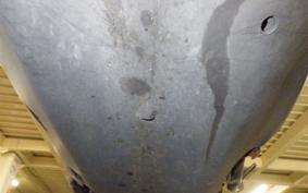 YAMAHA MAJESTY155 S SG28J