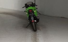 KAWASAKI NINJA250R EX250K