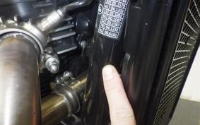 TRIUMPH SCRAMBLER 900 2023