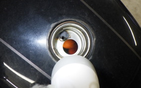 HARLEY XL1200CX 2016