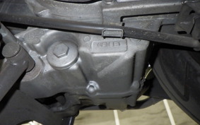 HONDA LEAD 110 JF19