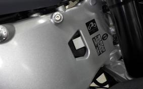 YAMAHA XSR900 GP 2024 RN96J